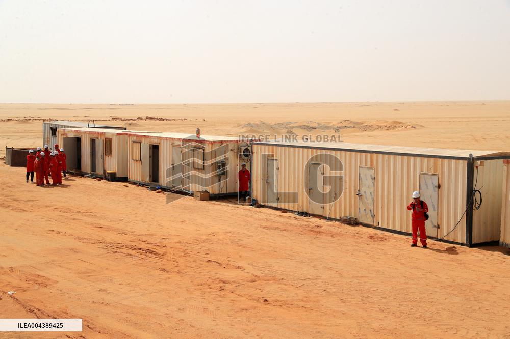 A Farm In The Desert Of New Valley Governorate - Cairo