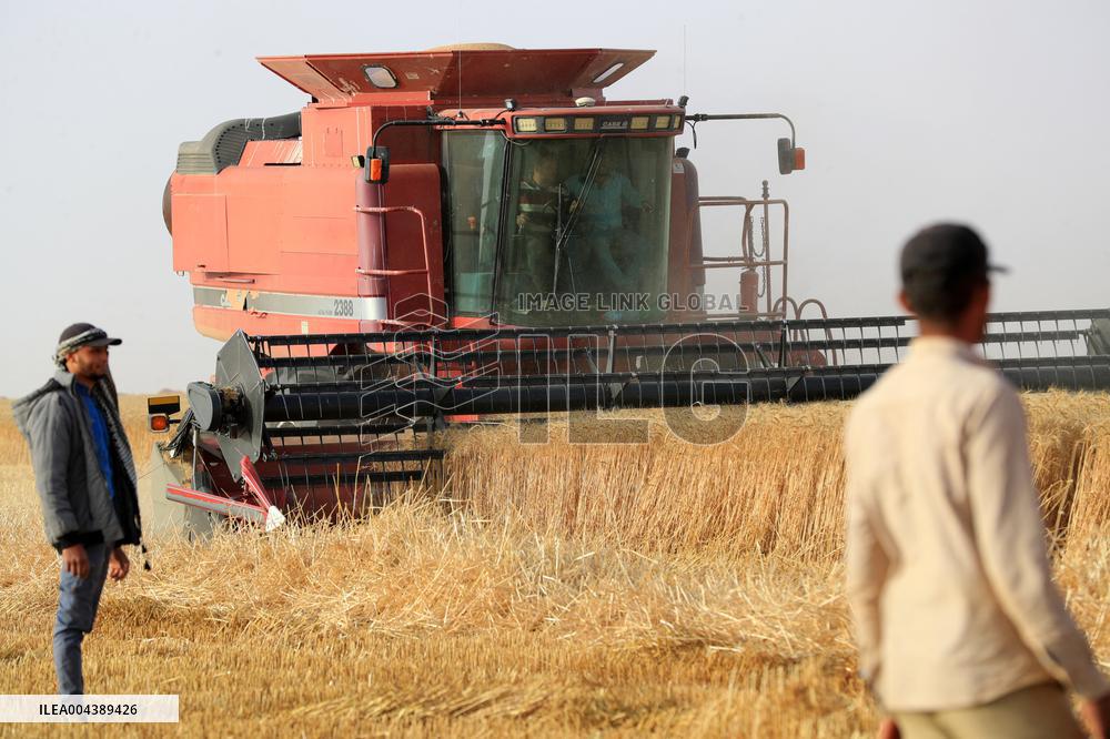 A Farm In The Desert Of New Valley Governorate - Cairo