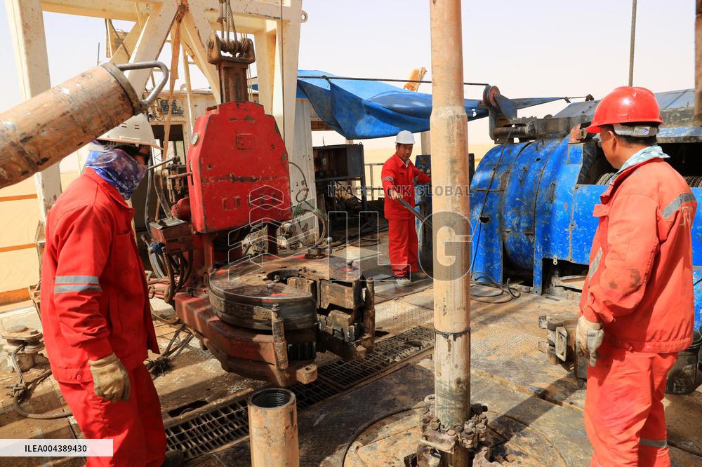 A Farm In The Desert Of New Valley Governorate - Cairo