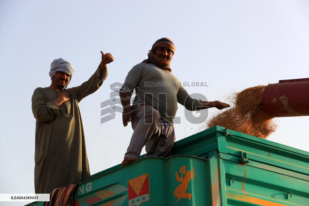 A Farm In The Desert Of New Valley Governorate - Cairo