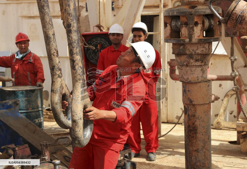 A Farm In The Desert Of New Valley Governorate - Cairo