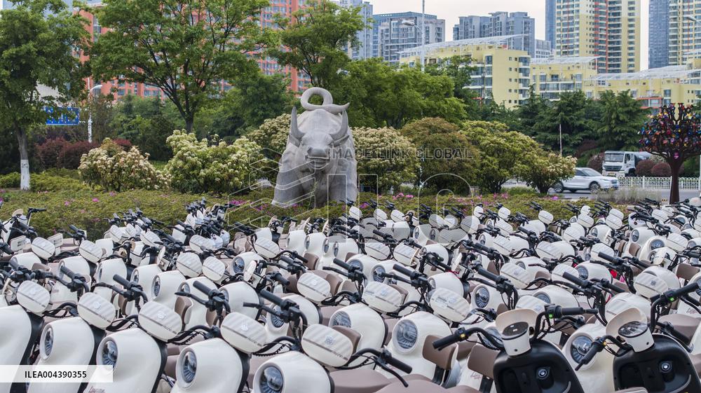 Electric Bicycle Rental Service