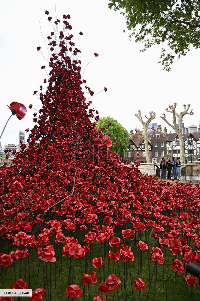Ceramic red poppies in London