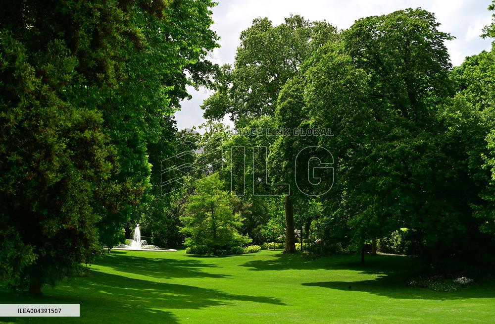 Macron and Merz Discuss in Elysee Garden - Paris