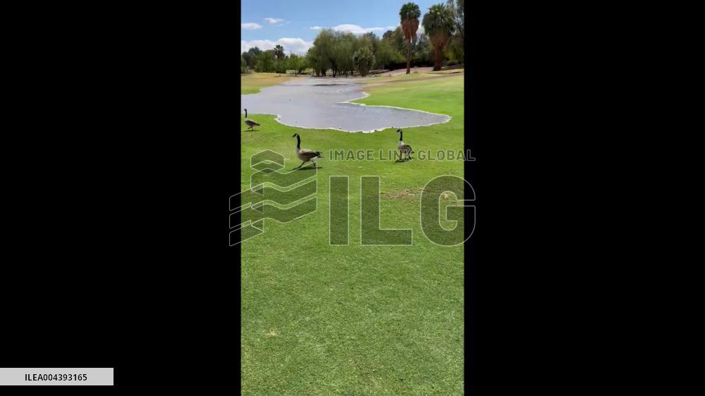 US: Pea-Sized Hail, Heavy Rain Lash Las Vegas Valley 5