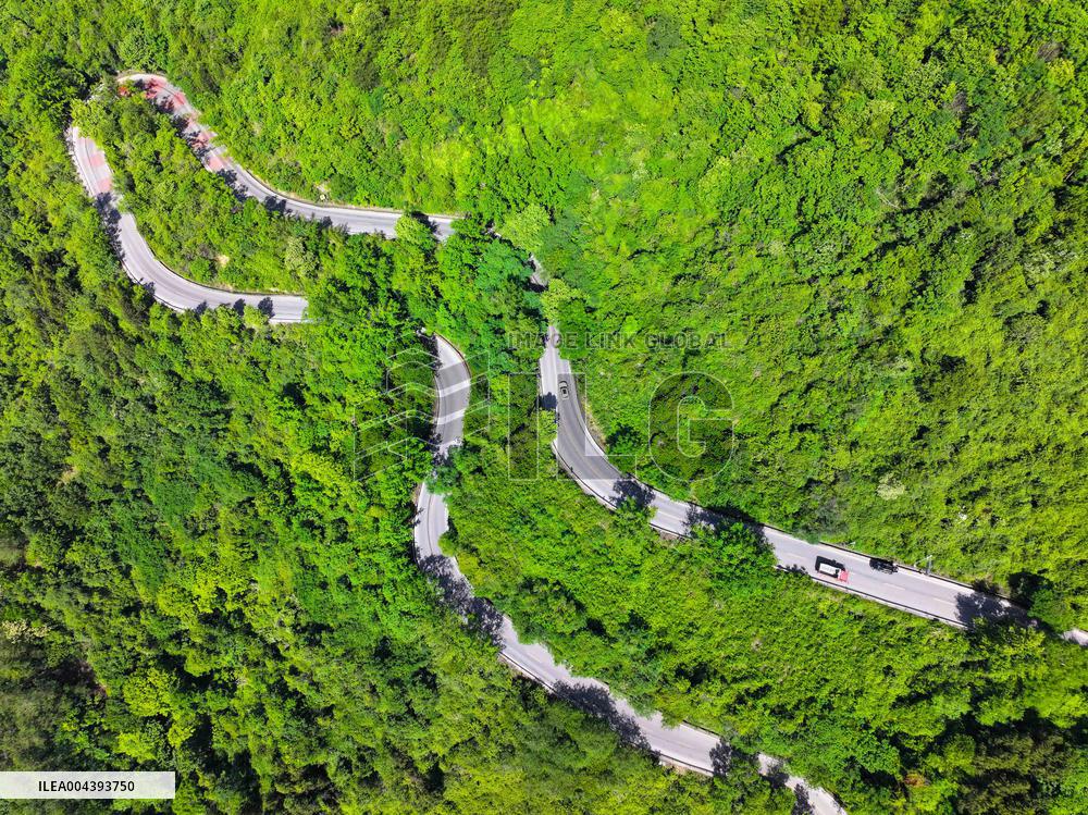 Beautiful Highways in 2025