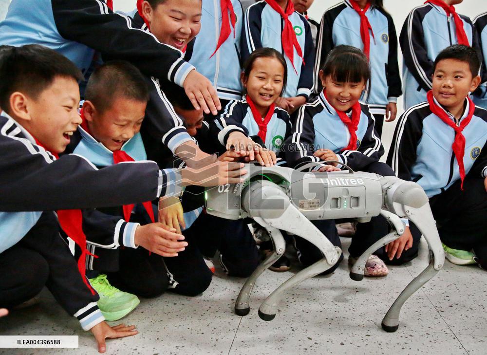 Science and Technology Carnival