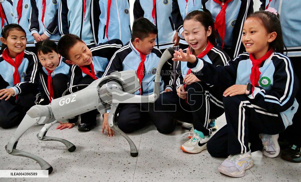 Science and Technology Carnival