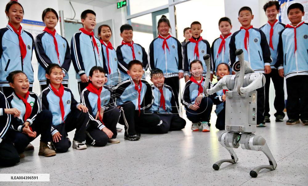 Science and Technology Carnival