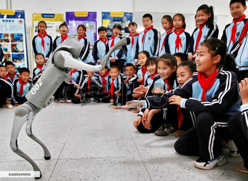 Science and Technology Carnival