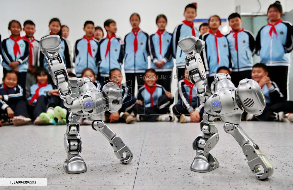 Science and Technology Carnival