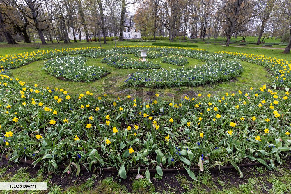 Tulip Festival at Kirna Manor