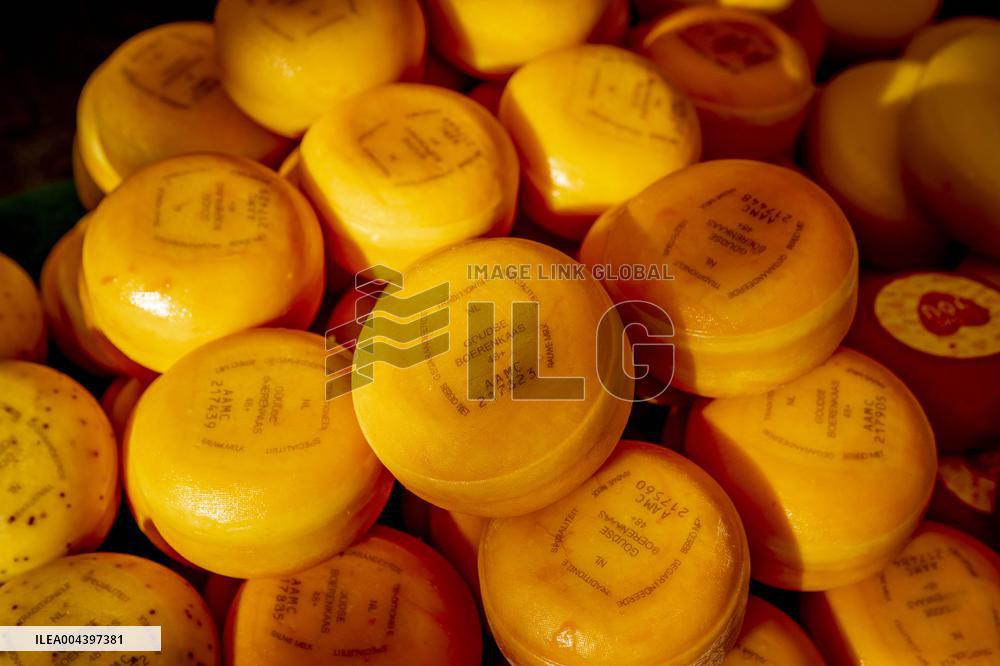 Gouda Cheese Market Illustrations - Netherlands