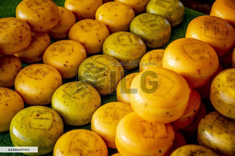 Gouda Cheese Market Illustrations - Netherlands