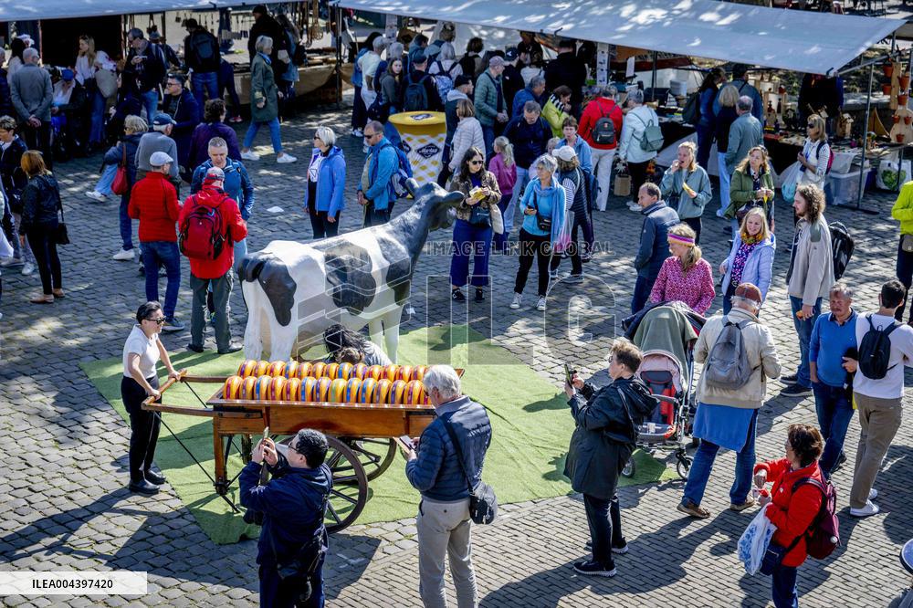 Gouda Cheese Market Illustrations - Netherlands