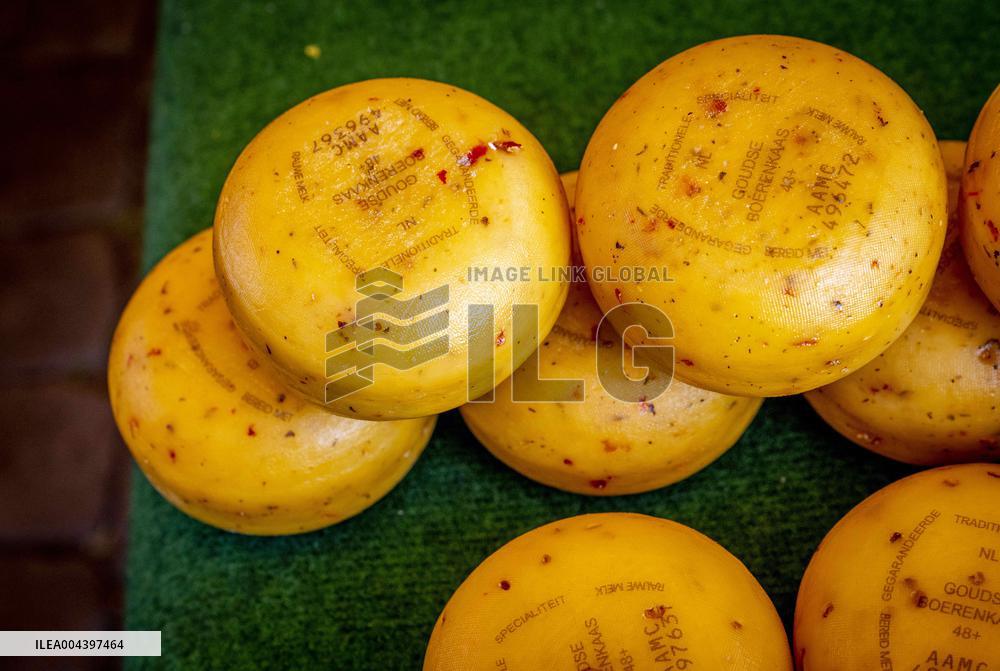 Gouda Cheese Market Illustrations - Netherlands