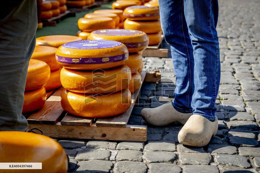 Gouda Cheese Market Illustrations - Netherlands