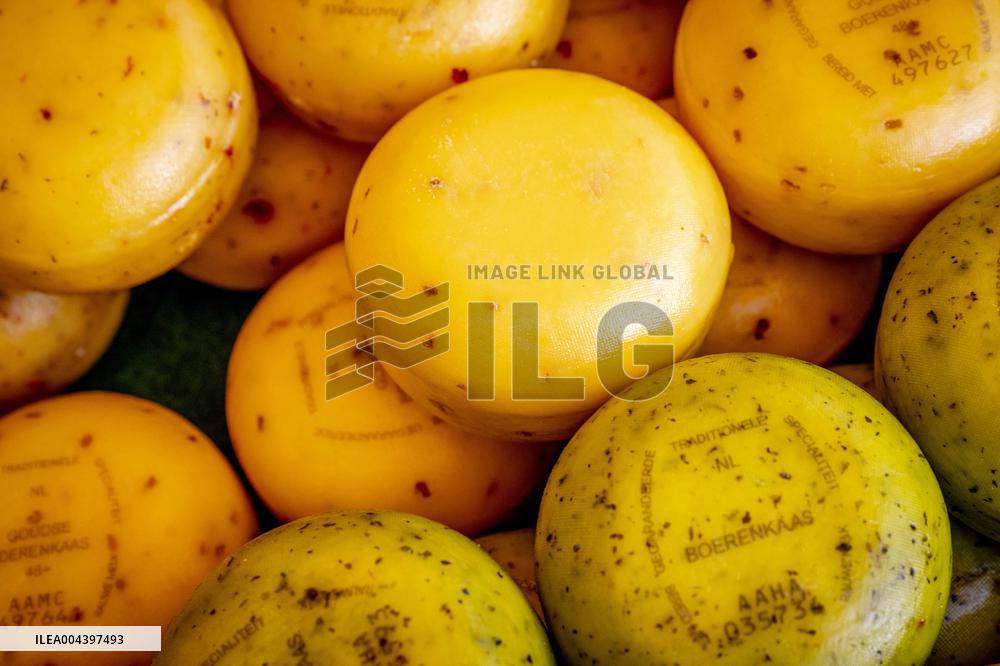 Gouda Cheese Market Illustrations - Netherlands