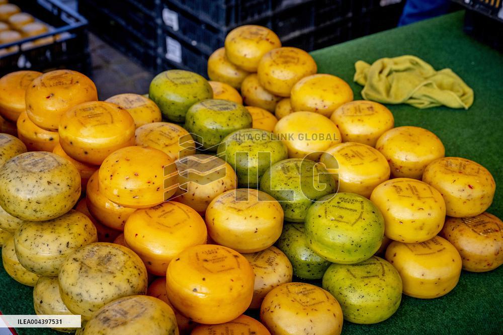 Gouda Cheese Market Illustrations - Netherlands