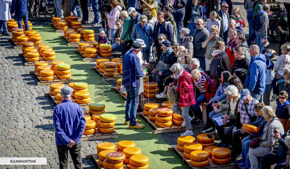 Gouda Cheese Market Illustrations - Netherlands