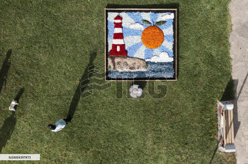 Antalya Flower Patterns Festival - Turkey