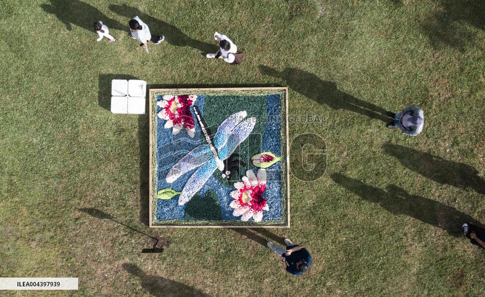 Antalya Flower Patterns Festival - Turkey