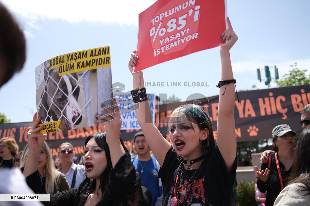 Protest Against The Stray Animal Regulation Bill - Ankara