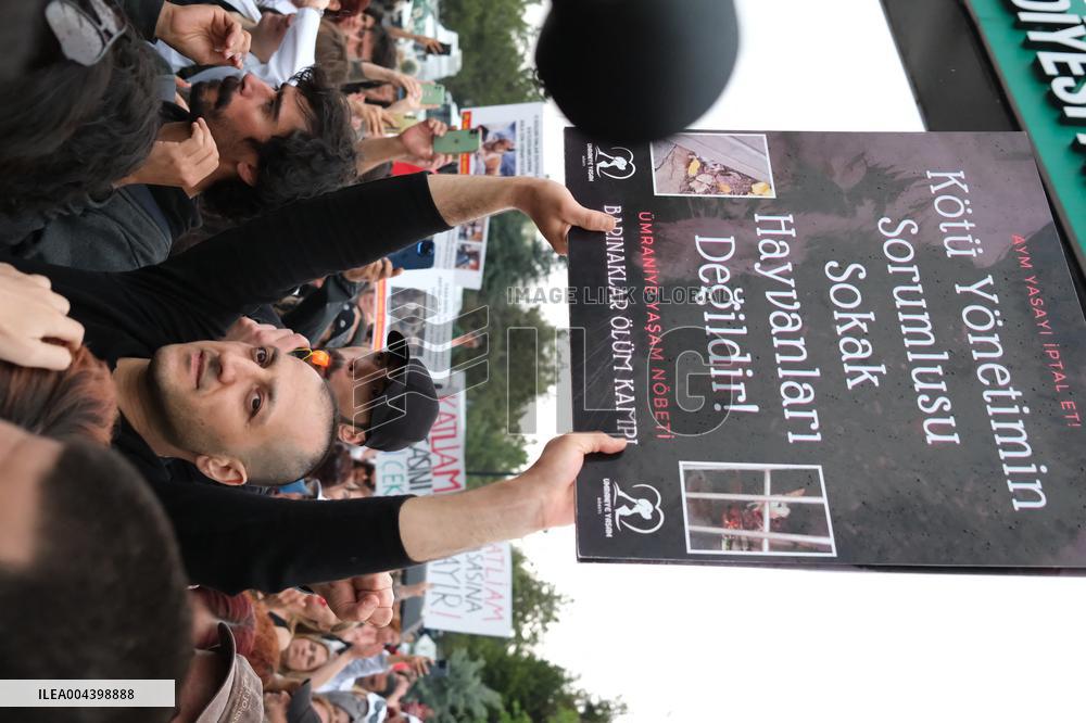 Protest Against The Stray Animal Regulation Bill - Ankara