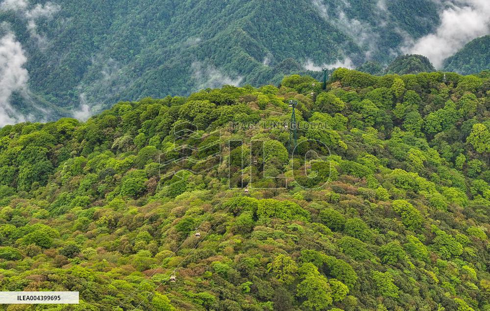 Mount Fanjing