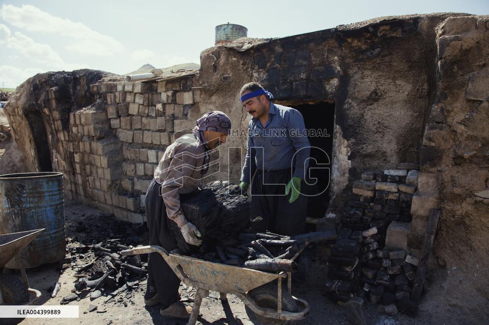 Charcoal Production in Bukan - Iran