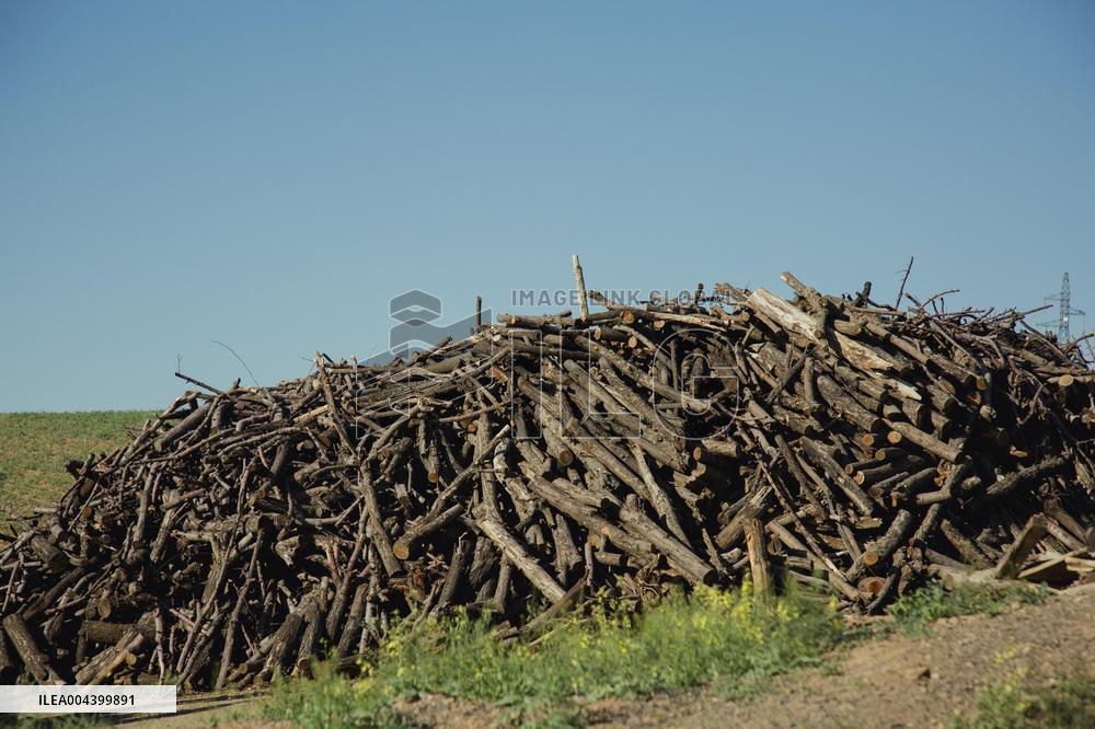 Charcoal Production in Bukan - Iran