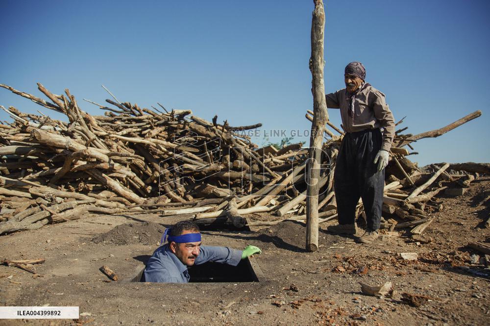 Charcoal Production in Bukan - Iran