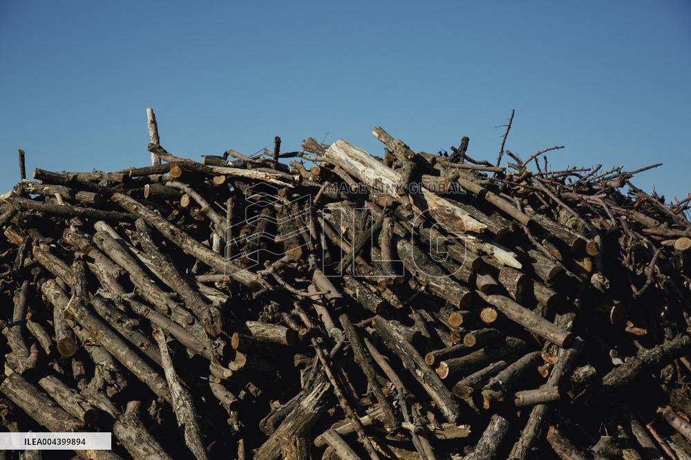 Charcoal Production in Bukan - Iran