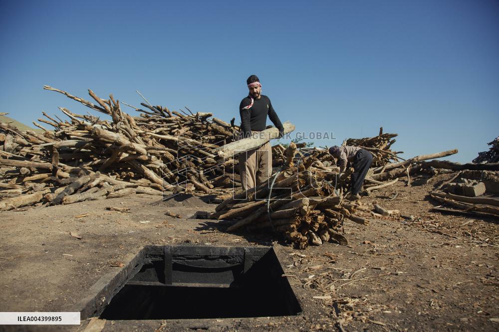 Charcoal Production in Bukan - Iran