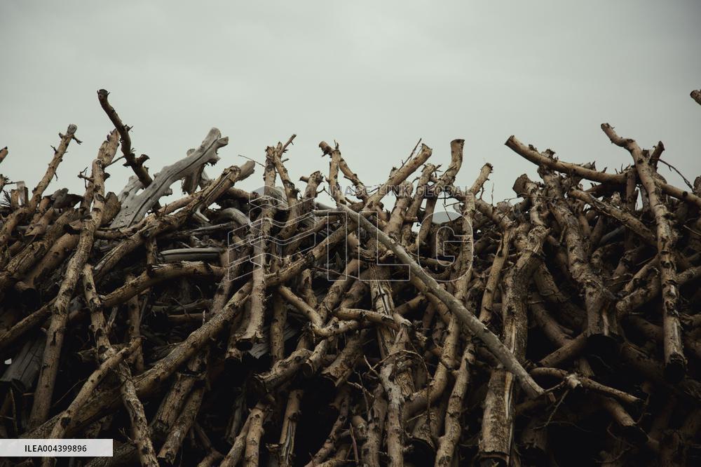 Charcoal Production in Bukan - Iran