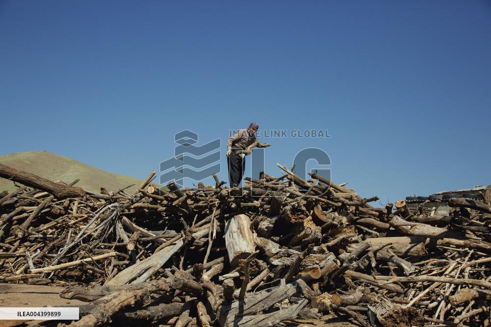 Charcoal Production in Bukan - Iran