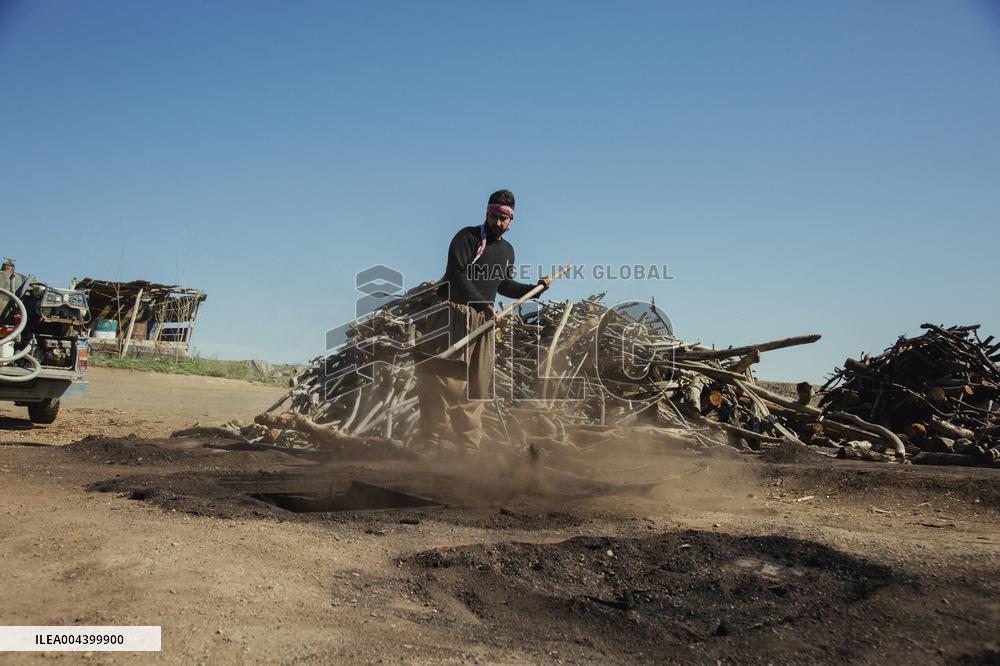 Charcoal Production in Bukan - Iran