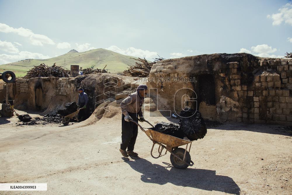 Charcoal Production in Bukan - Iran