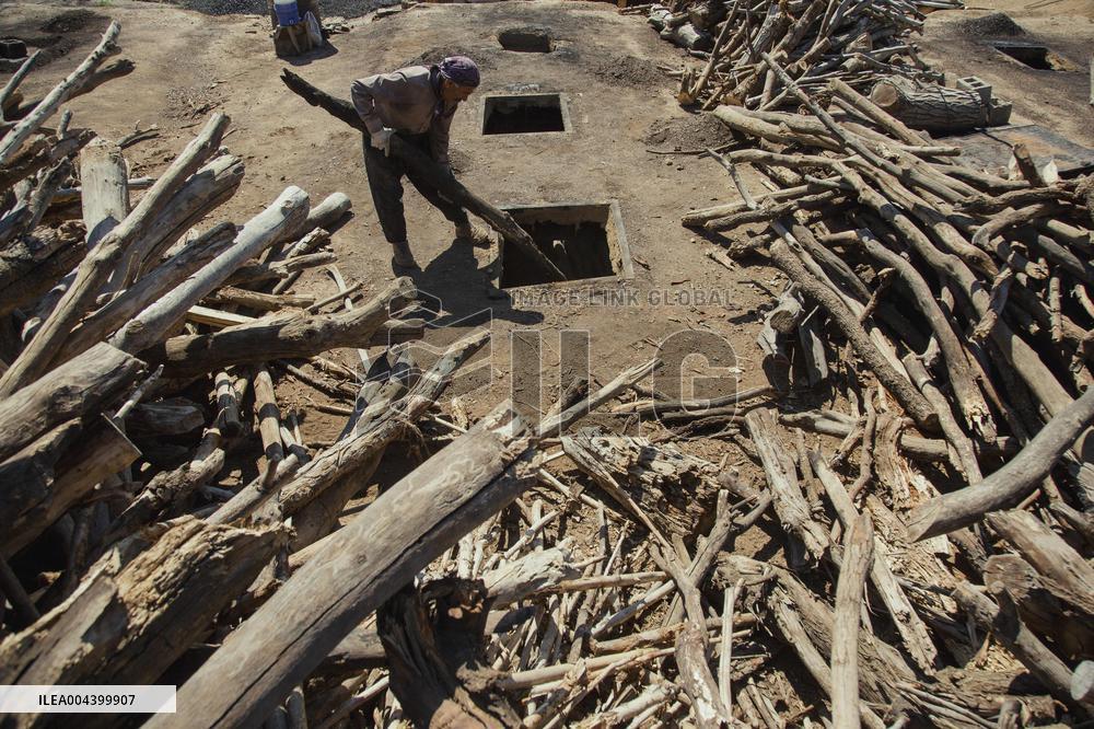 Charcoal Production in Bukan - Iran