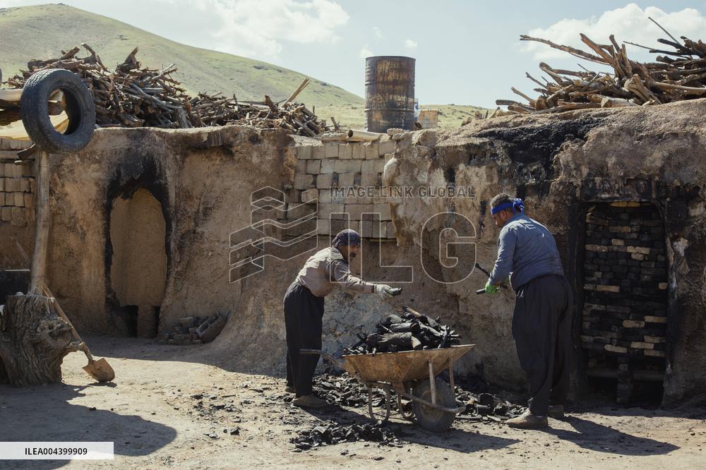 Charcoal Production in Bukan - Iran
