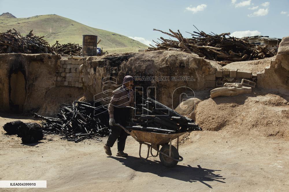 Charcoal Production in Bukan - Iran
