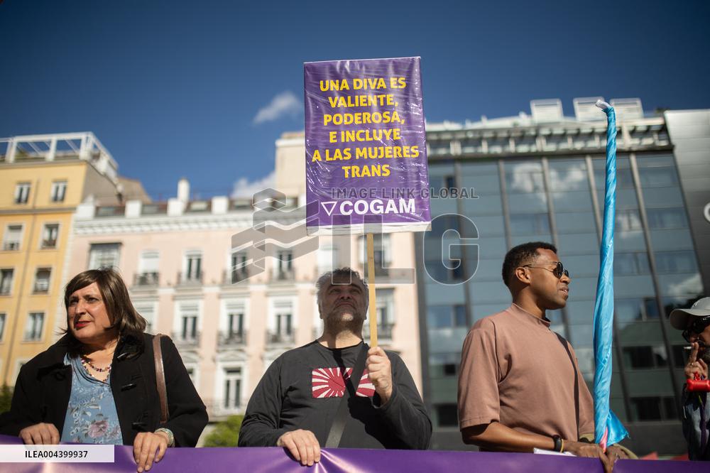 Demonstration for the Trans Law in Madrid