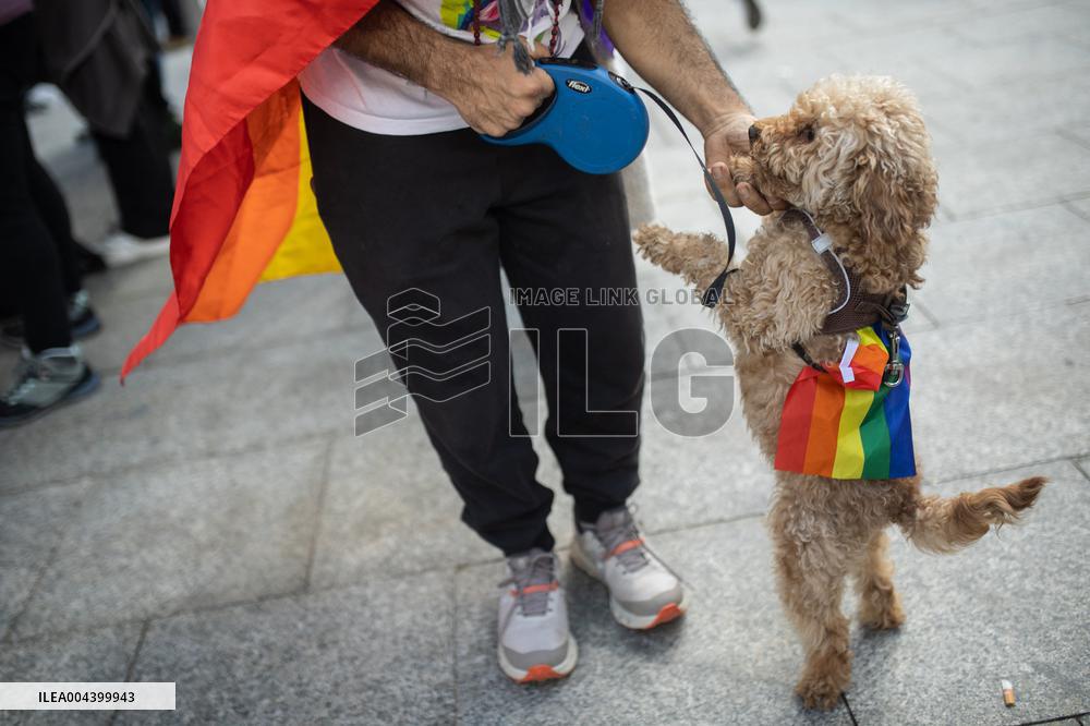 Demonstration for the Trans Law in Madrid