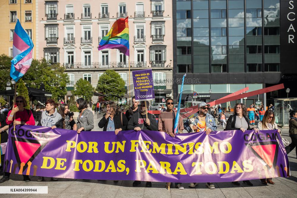 Demonstration for the Trans Law in Madrid