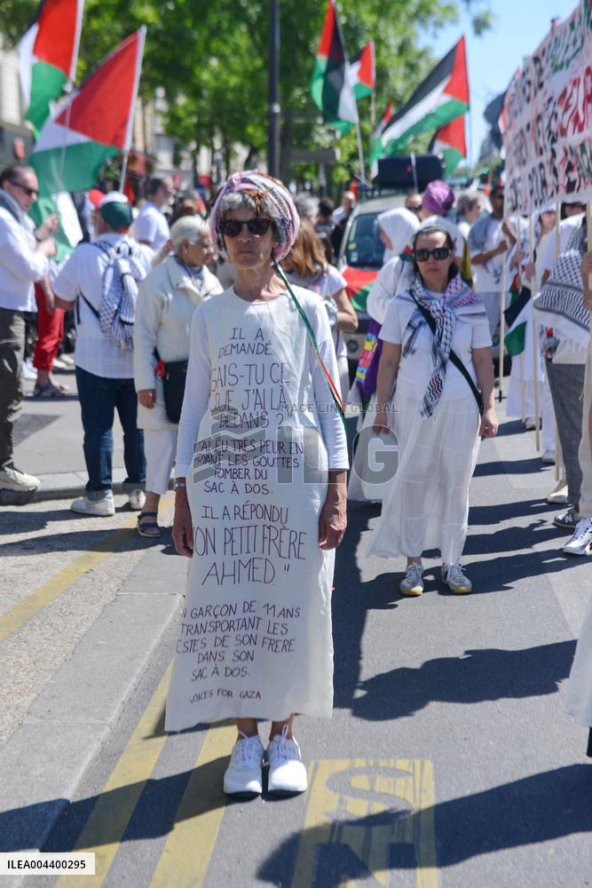Demonstration for Gaza in Paris