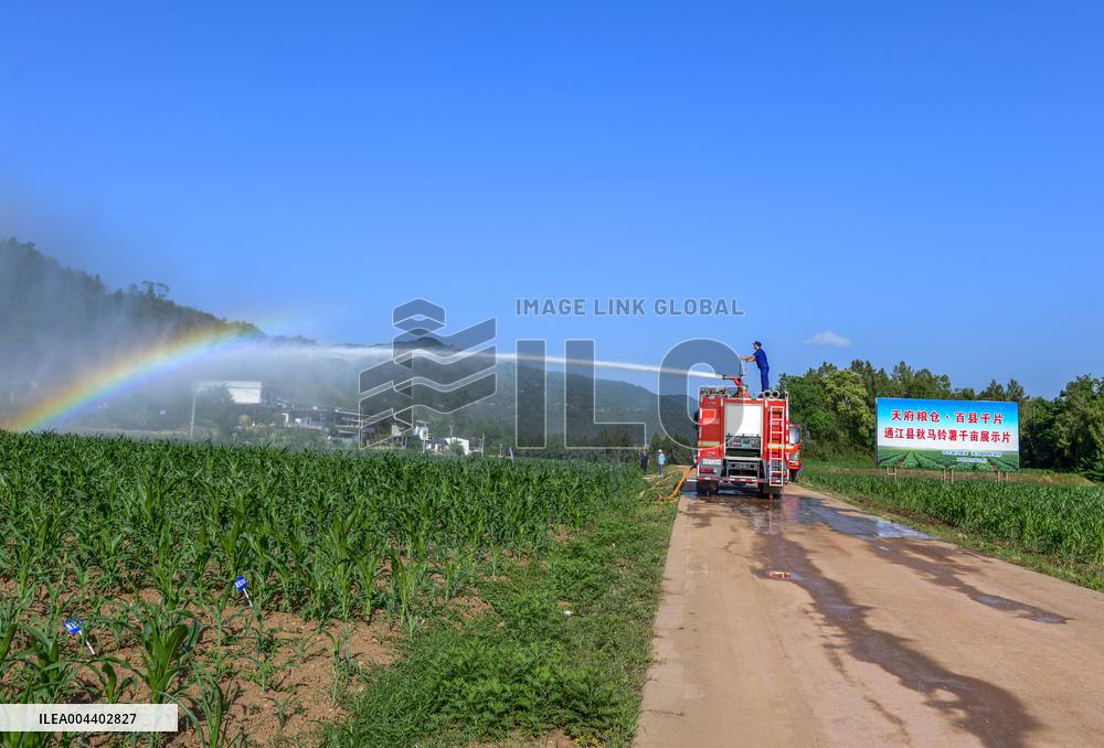 Drought Resistant Irrigation