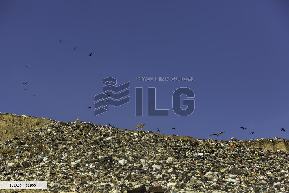 Waste And Recycling Management in Bukan -  Iran