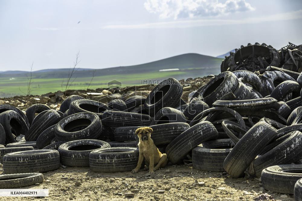 Waste And Recycling Management in Bukan -  Iran