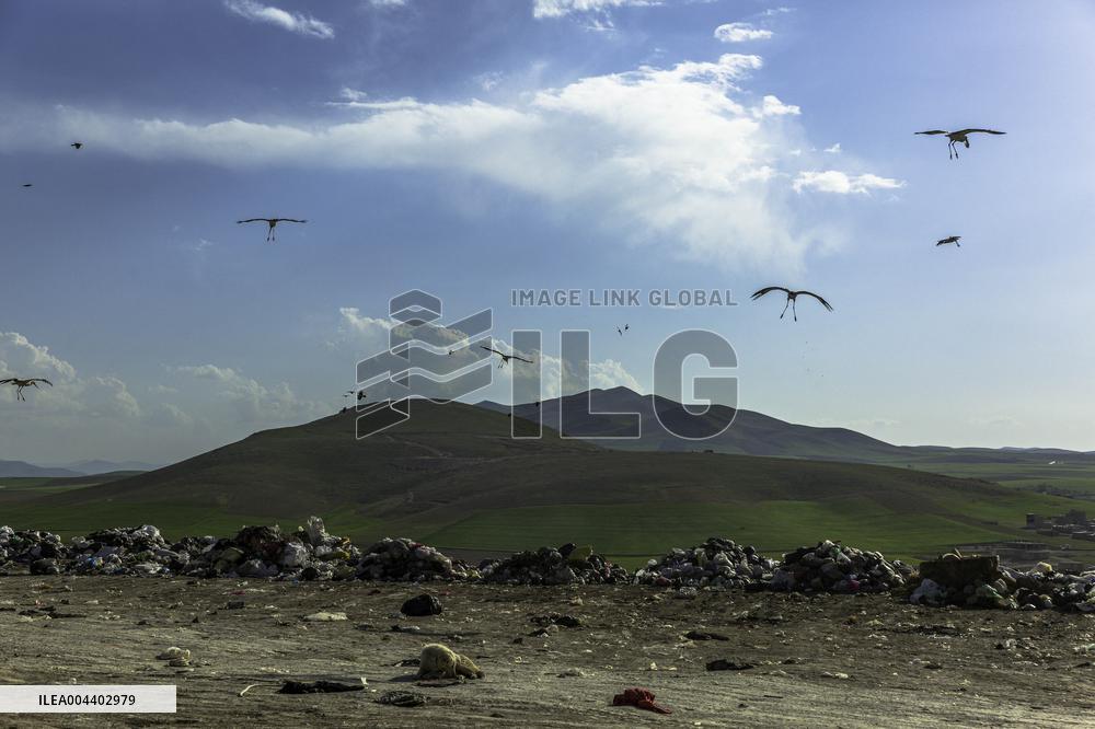 Waste And Recycling Management in Bukan -  Iran