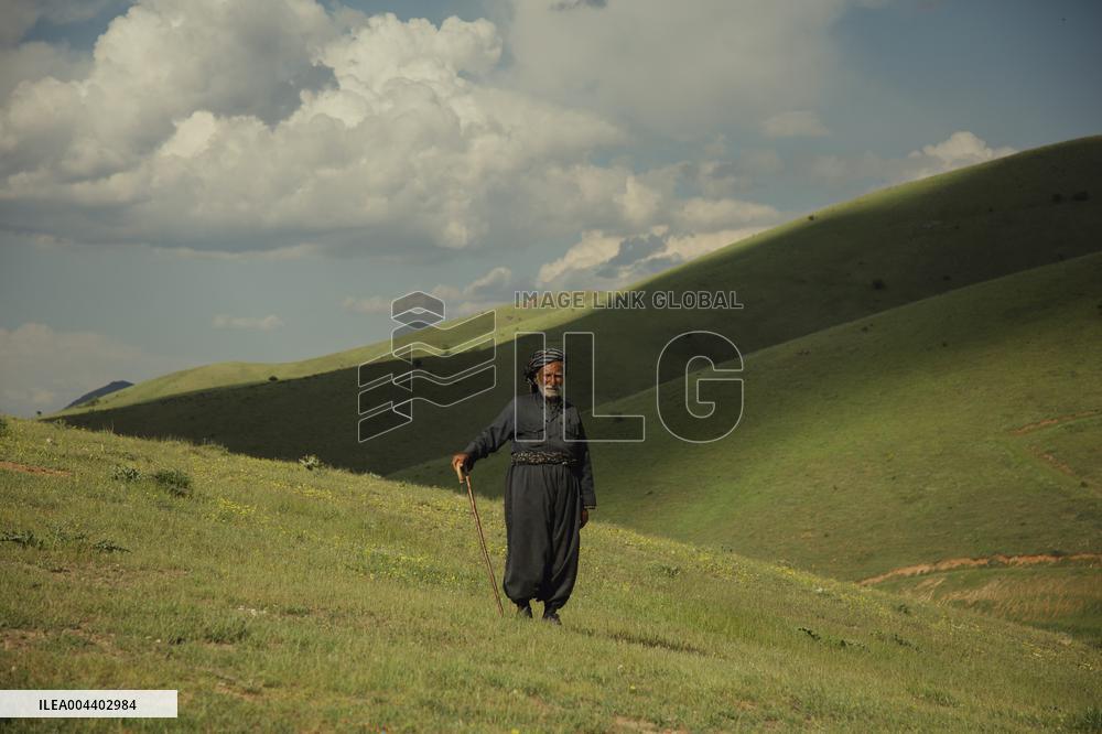 Iranian Nomads - Saqqez